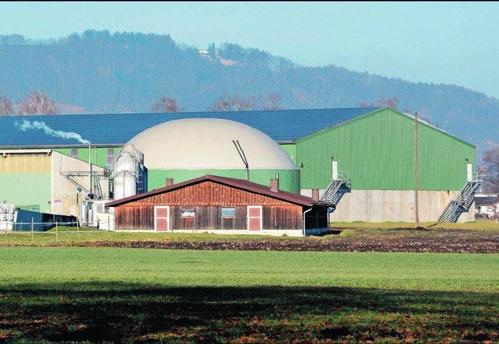 Rhy Biogas AG Treibstoff vom Bauernhof Drei Rheintaler Landwirte betreiben in Widnau SG gemeinsam eine landwirtschaftliche Biogasanlage, die Rhy Biogas AG.