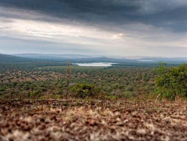 17. Tag: Fahrt zum Lake Mburo-Nationalpark Ihr heutiges Ziel ist der Lake Mburo-Nationalpark, eine mit Felsen, trockenen Hängen, Savannen, Wäldern, Hügeln und Sümpfen extrem vielseitige Landschaft.
