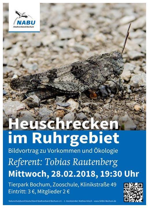 NABU-Vortrag: Heuschrecken im Ruhrgebiet A m Donnerstag, 28. Februar 2018, entführt Referent Tobias Rautenberg in die faszinierende Welt der Heuschrecken!