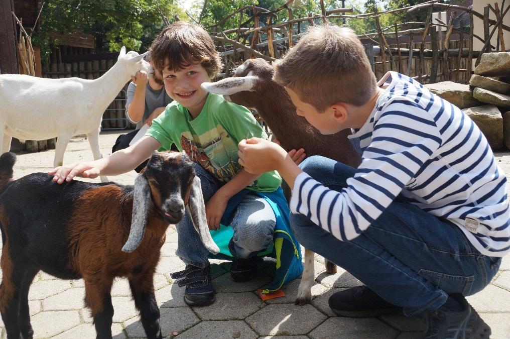 Auf dieser Zoo-Reise lernen die Ferienkinder jeden Tag neue tierische Bewohner kennen kommen ihren Lieblingstieren dabei teilweise ganz nah!