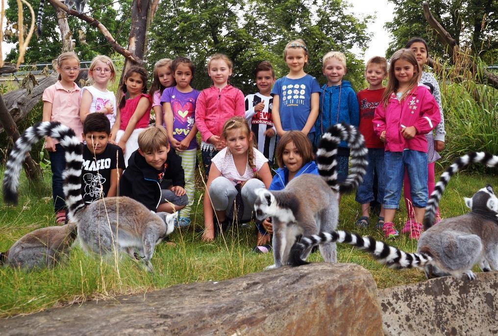 Auch die Else-Baltz-Zooschule des Tierparks, die in diesem Jahr ihr 30-Jähriges Bestehen feiert, blickt auf ein neues Erfolgsjahr zurück! Mehr als 21.000 Besucher nahmen an über 1.