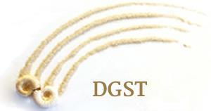 Richtlinien der DGST zur Weiterbildung in der Sandspieltherapie Die Weiterbildung in der Sandspieltherapie gilt als psychotherapeutische Zusatzausbildung.