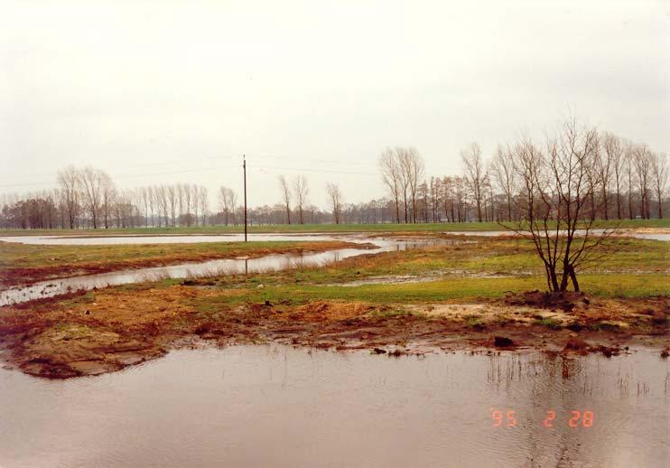 Rückverlegung eines Hochwasserdeiches an der Wörpe Zusätzlich: Anlage von