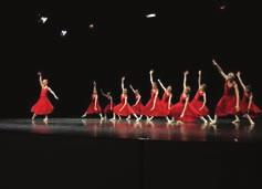 Dort präsentierten sich rund 1000 Tänzer aus 19 Nationen einer internationalen Jury.