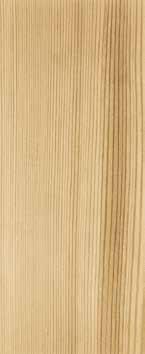Edition 2018 NIVEAU Holzhaustüren Mit einer NIVEAU Holzhaustür verleihen Sie Ihrem Zuhause einen ganz