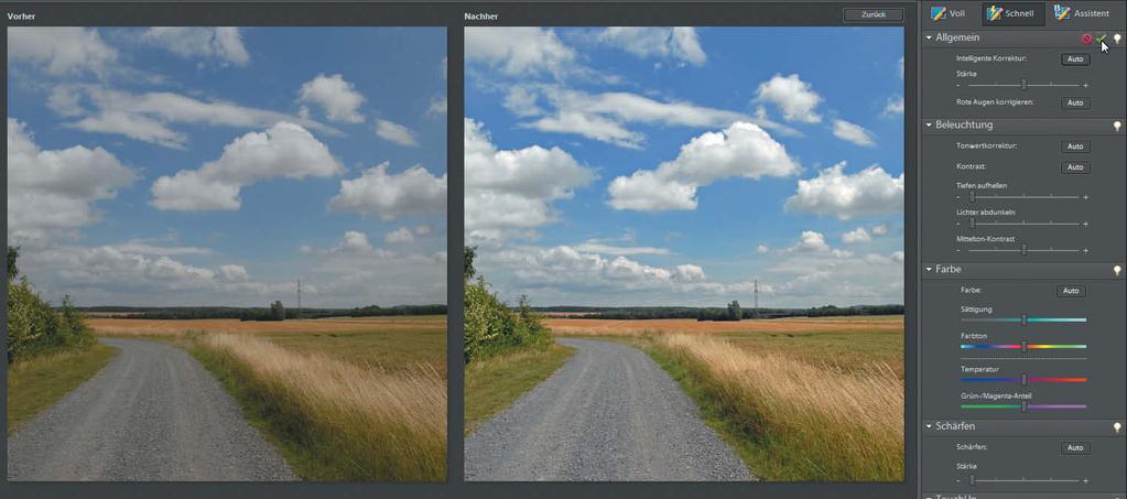 3 Photoshop Elements 7.0 kennen lernen 79 4 5 6 4 Weisen Sie die automatische Korrektur mit der Auto-Schaltfläche zu.