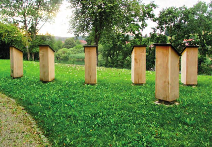 ruhig und ehrwürdig wirken die aus Eiche hergstellten Urnen-Stelen auf dem Truchtlachinger Friedhof.