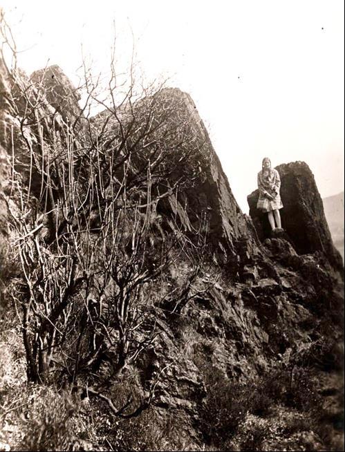 Die Spitze des Rothenberges (414 m Meereshöhe) besteht auch aus einem Felsen. Westlich davon befindet sich der Horn Stein.