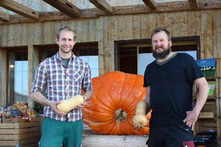 Passend zum Halloween Kürbis bieten wir auch Zierkürbisse für die Dekoration.