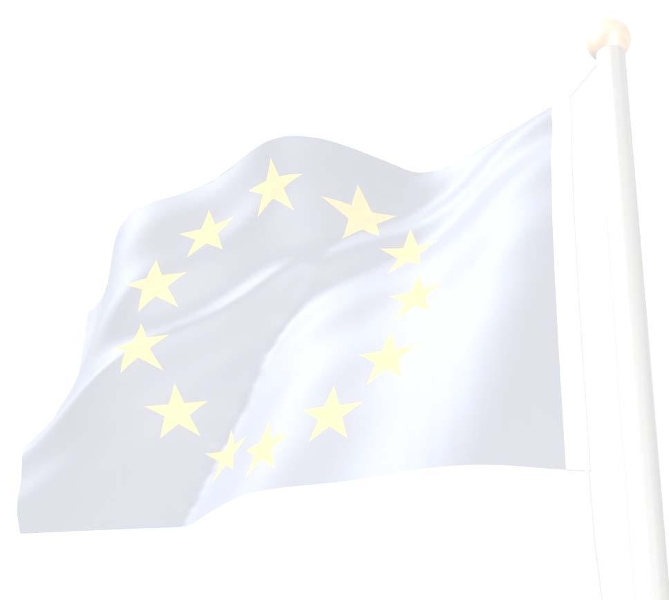 Allianz Zielsetzung Die Allianz widmet sich europäischen Fragestellungen des E-Governments Aufbau eines Multikanalzugangs zur öffentlichen Verwaltung