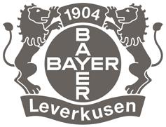 Bundesliga-Magazin Bayer Leverkusen #22 #23 Bayer Leverkusen Bundesliga-Magazin Heim Paulinho Vasco da Gama, 8,5 Mio. Mitchell Weiser Hertha BSC, 2 Mio. Isaac Kiese Thelin RSC Anderlecht, Leihe, Mio.