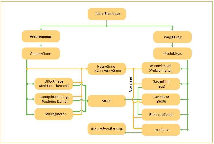 Moderne Verfahren zur Umwandlung von fester Biomasse in