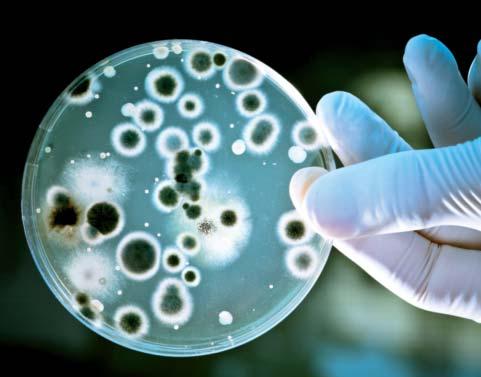 Unser Rundum-Programm für effektive Kühlwasserbehandlung Biozide und Bio-Dispergatoren Biozide bekämpfen Mikroorganismen, wie Bakterien, Legionellen, Algen und Pilze.