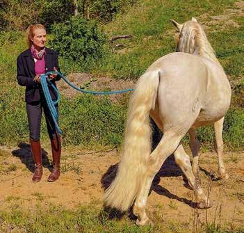 Pferdeverstand Sie trägt Pferdeschwanz, wie sollte es anders sein. Marie Massmann lebt ihre Leidenschaft.