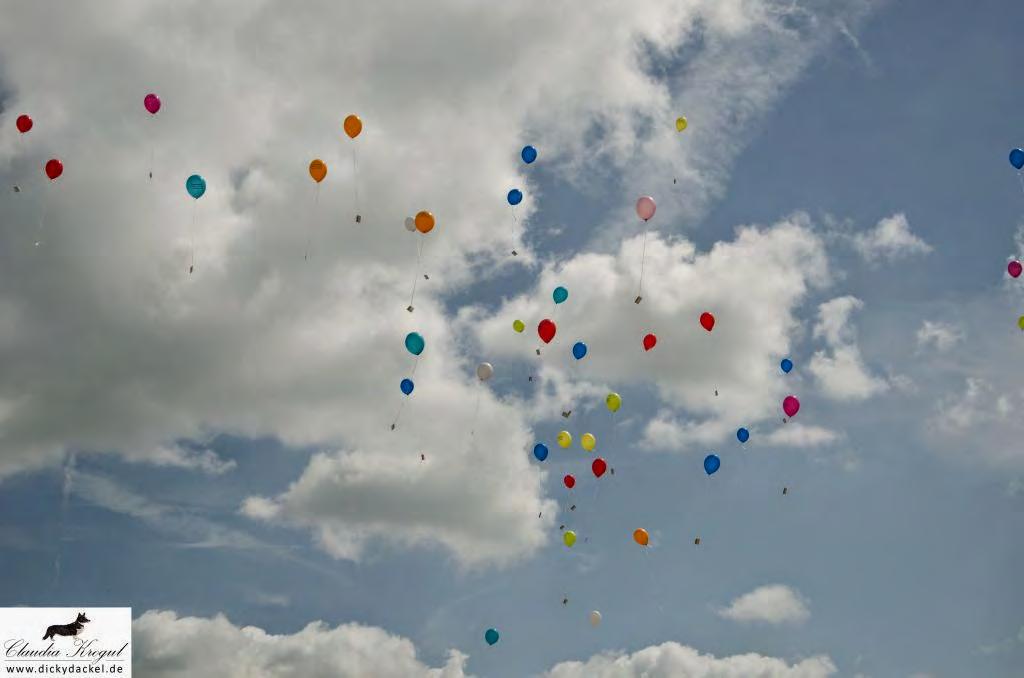 .. Da fliegen die Luftballons mit