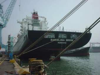 Schiffsbeteiligung 95 - MS "NORTHERN DELICACY" Schiffstyp: Containerschiff Investition und Kapital in Mio. Werft: Hyundai Heavy Industries Ltd.