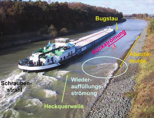 See- und Binnenwasserstraßen verschiedene Ufersicherungsmaßnahmen mit Pflanzen unter Wasserstraßenbedingungen getestet werden.