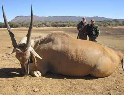 an verschiedenen Wildarten zur bejagung an. Der Kudu ist mit seinen majestätisch wirkenden Hörnern sehr beliebt.