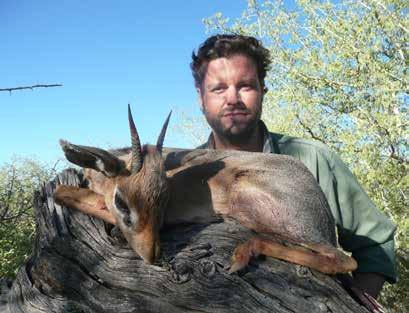 Der Große Kudu ist durchaus eine vorsichtige Antilope, welche sich von Knospen und Blättern vorzugsweise ernährt.