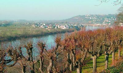 Dagegen ist Niederwerth bei Koblenz eine beschauliche Rheininsel und beliebtes Ausflugsziel weit