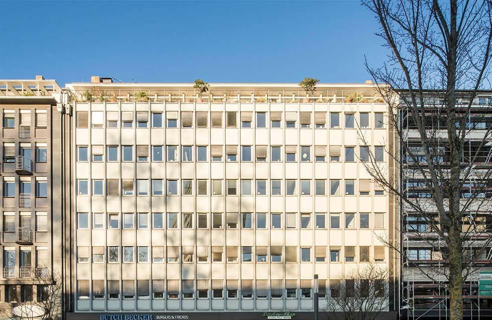 515 m² Baujahr: 1955