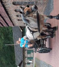 Ursula Schürmanns, Geschäftsführerin des Museumsvereins und passionierte Reiterin, freut sich über den weiblichen Pferde- Nachwuchs.
