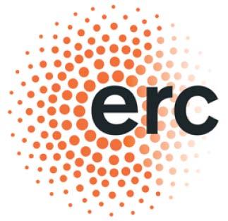 Der Europäische Forschungsrat (ERC): Zielsetzung Grundlagenorientierte Pionierforschung Individualförderung (bottum-up) Exzellenz als alleiniges