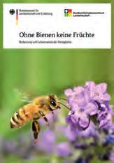 50 BZL-Medien BZL-Medien Ohne Bienen keine Früchte Unsere kleinsten Nutztiere liefern nicht nur Wachs und Honig, sie bestäuben auch fast 80 % der Nutzpflanzen.