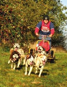 Vorwiegend starten bei einem Schlittenhundewagenrennen die Velo- (Radfahrer) und Scooterfahrer (Roller) mit ihren Einer- oder Zweiergespannen, da diese bei dem alljährlichen Schlittenhunde-Adventure
