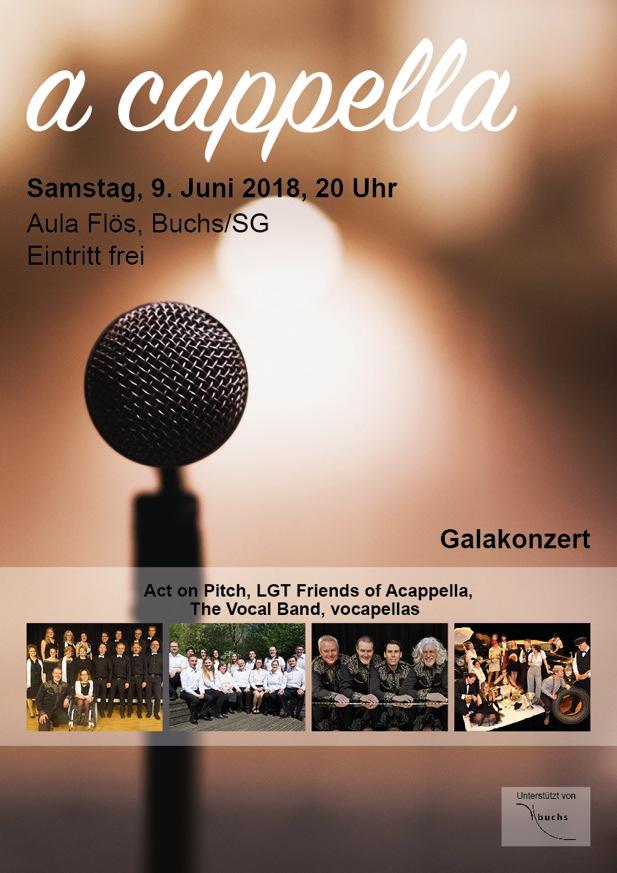 Veranstalter gestellt Vernetzung mit anderen SängerInnen und Geselligkeit Interne Anlässe der LGT in Liechtenstein 28.09.