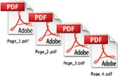 Desktop Site -Lizenz Plug-in für Adobe