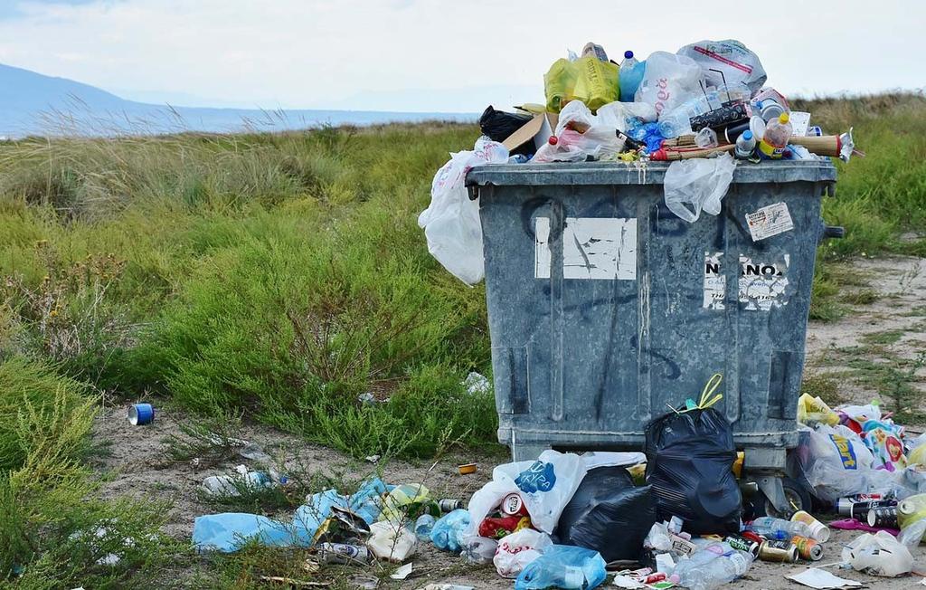 Auf dem Plastikauge blind Eingeschweißte Gurken hier, Wurst in der Packung dort, Waschmittel in der stabilen Plastikflasche gehen wir einkaufen, so schleppen wir auch jede Menge Plastik mit nach