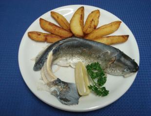 Warme Speisen / Cuisine chaude Forelle blau, Basilikumsauce mit Kartoffeln oder Reis 1