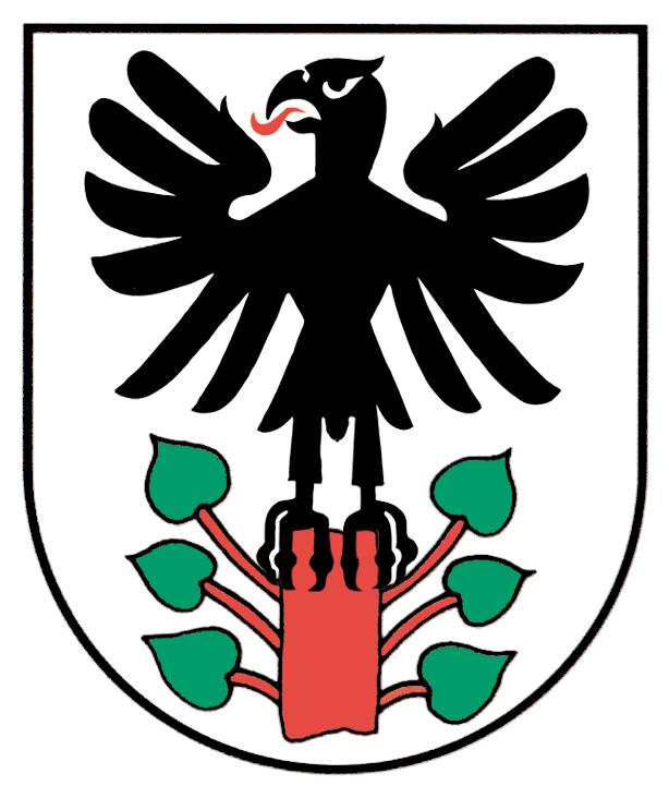GEMEINDE STEINEN 6422 Steinen SZ 4.60 Reglement über die Abfallentsorgung (vom 22. August 2000, RRB Nr. 1 253) Der Regierungsrat des Kantons Schwyz, gestützt auf 88 ff.