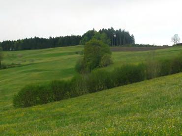 Braunau - Wuppenau (Nr. 122) Wiese, wenig Weide Landschaftsraum Am Südosthang des Greutisbärgs befindet sich die Terrassenflur Höchi.