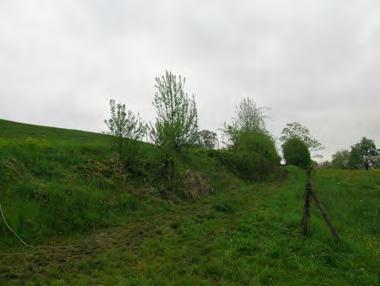 27.11 Hagenwil An der Gemeindegrenze zu Schönholzerswilen östlich von Rämischbärg befinden sich zwölf Ackerterrassen. Sie zeigen keinen klaren Zusammenhang mehr.