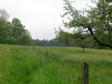 27.17 Neuhuus Die vier Böschungen von Neuhuus liegen in Wies- und Weideland, welches durch einige Hochstammobstbäume angereichert wird. Die meisten Ackerterrassen sind noch gut erhalten.