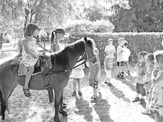 Peitzer LandEcho 14 Nr. 13/2013 25.09.2013 Auf dem Rücken der Pferde...... quer durch unseren Kita-Garten!