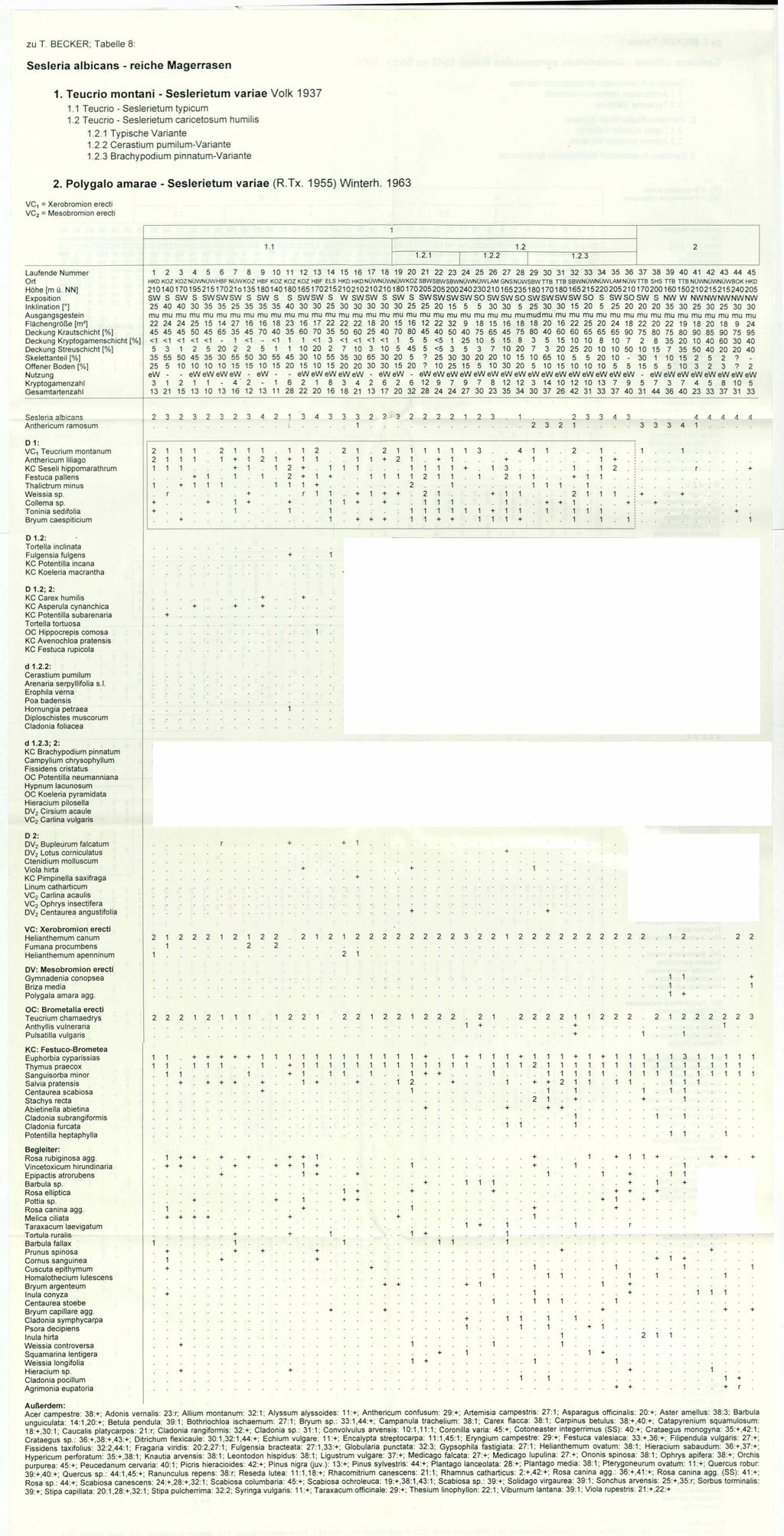 Floristisch-soziologische Arbeitsgemeinschft; wwwtuexeniade; download unter wwwzobodatat zu T BECKER; Tabelle 8: Sesleria albicans - reiche Magerrasen Teucrio montani - Seslerietum variae Volk 97