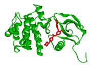 Wirkstoffe bcr abl Imatinib (Metabolismus via CYP450: Substrat von CYP3A4, Inhibitor des CYP2D6, CYP2C9; CAVE bei gleichzeitiger Gabe von CYP3A4 Induktoren: Therapieversagen möglich!