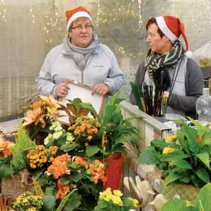 Adventsausstellungen verzaubern die Vorweihnachtszeit In Ronsdorf reiht sich Basar an Basar und überall herrscht feierlich fröhliche Stimmung Exklusives für den Hund www.olivers-versand.