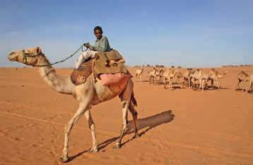 II. Strukturen und Lebenswelten Thilo Thielke Vor allem im Darfur treffen Menschen mit unterschiedlichen ökonomischen Lebensweisen aufeinander.