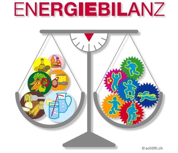 Energiezufuhr und Energiebilanz Zu den Hauptnährstoffen gehören Kohlenhydrate, Fett und Protein Energiebedarf und Verhältnis der