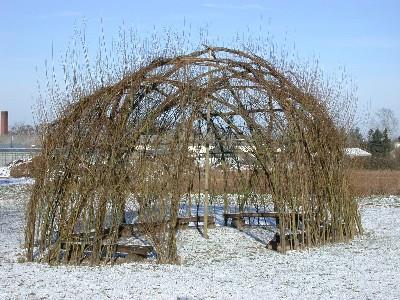 Aus den Weidenruten werden in naturnahen Gärten Flechtzäune erstellt und für Kinder werden lebende Bauwerke aus Weidenruten in Form