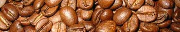KAFFEE frisch gemahlen oder als ganze Bohne lieferbar (bei frisch gemahlen, bitte angeben) 898 BRASILIEN SANTOS Spitzenkaffee, süße Weichheit, schokoladiger Nachgeschmack,