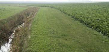 Legen Sie die Puffer so in der Landschaft an, dass die maximale Rückhaltewirkung mit minimalem Landverbrauch erreicht wird.