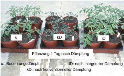 2:1] 3 25 2 15 1 5 gedämpft, ohne