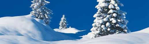 Eines der besten Skigebiete Tirols! Ski Juwel Alpbachtal Wildschönau TirolWerbung Preis p. P. Termin A Preis p. P. Termin B / C A) 12. - 13. Januar 2019, Sa.-So. (Reise Nr. 33022) B) 26. - 27.