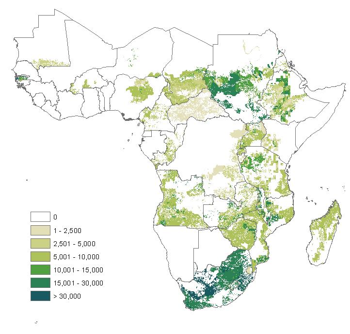 Kartoffelanbau in Afrika - Erträge Ertrag Südafrika: 36 t/ha Ertrag Afrika gesamt: 13 t/ha