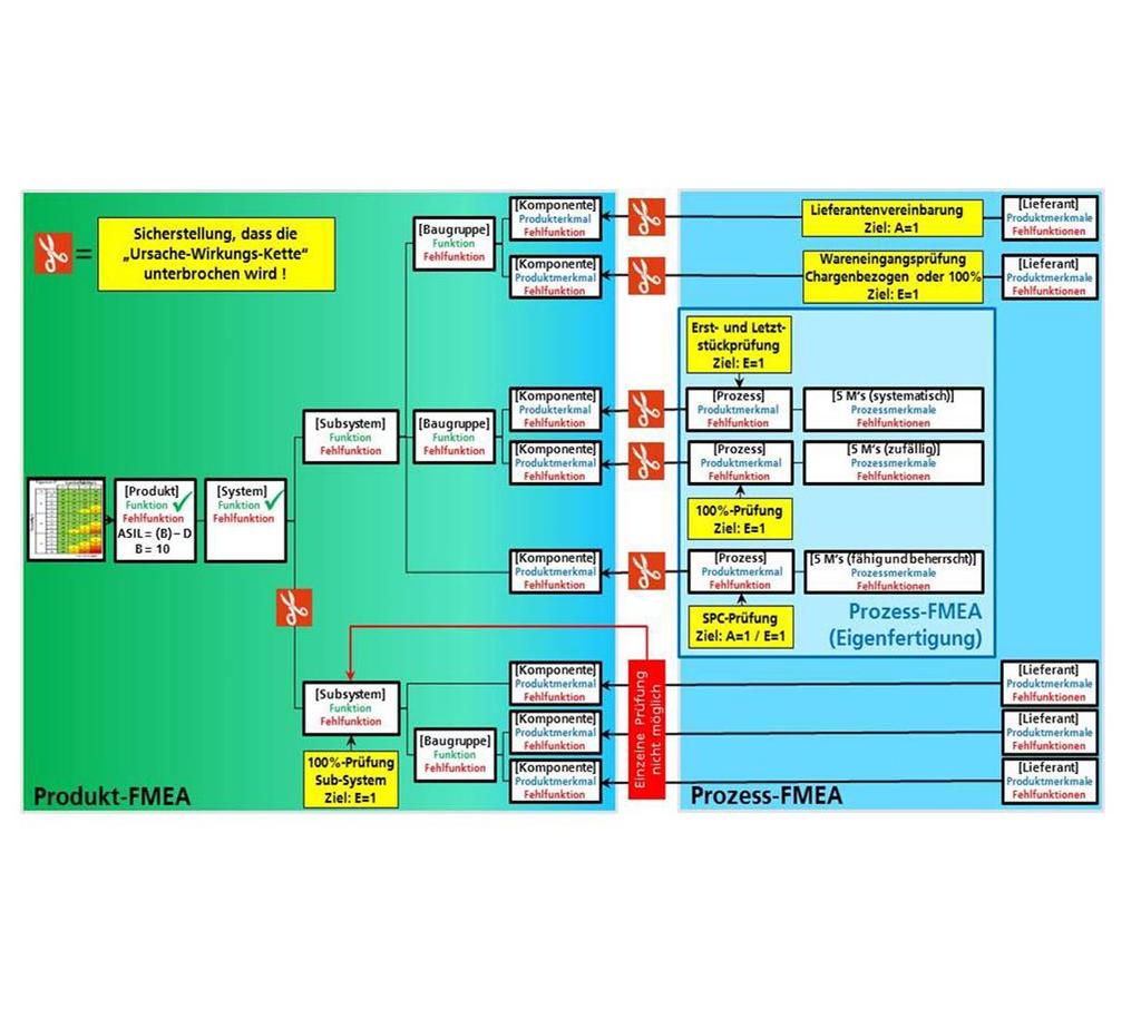 Besondere Merkmale Systematisch ermitteln und